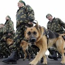 belarus-army-dogs