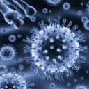 virus