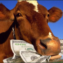 foto_moneycaw