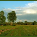 Russkoe_pole