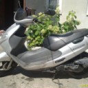 55f55fd4bafa9b6370992330886ed6ac