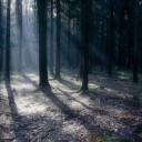 76426648_picturecontentpid1c453
